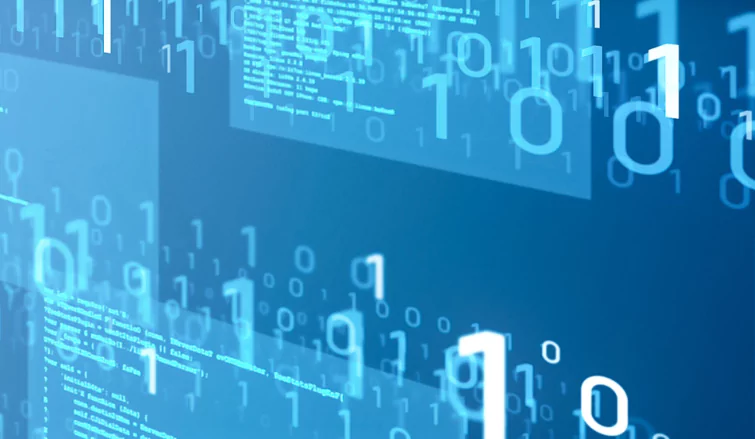 Custom Software Development